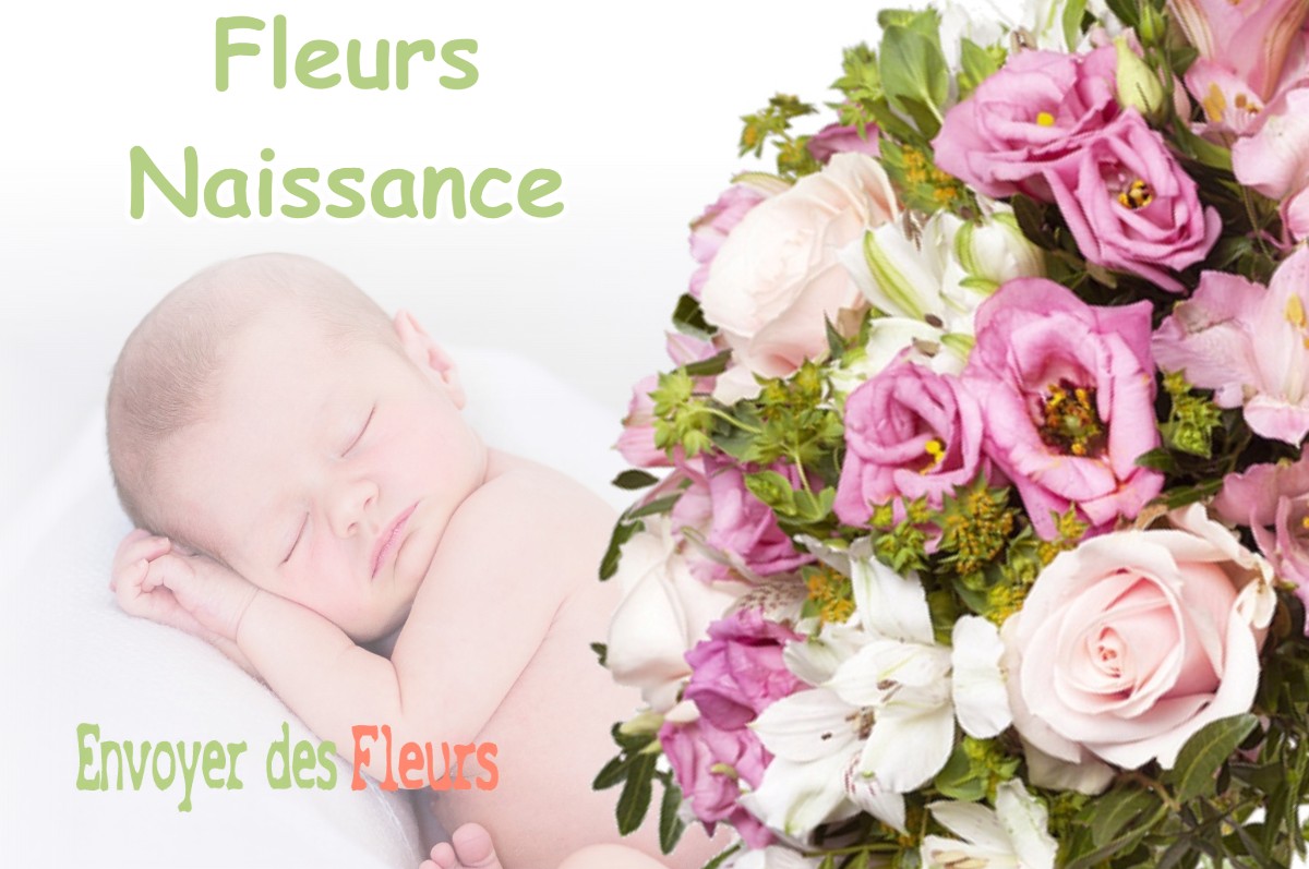 lIVRAISON FLEURS NAISSANCE à COISIA